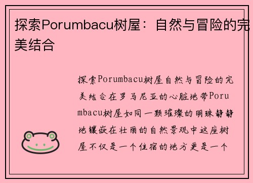 探索Porumbacu树屋：自然与冒险的完美结合